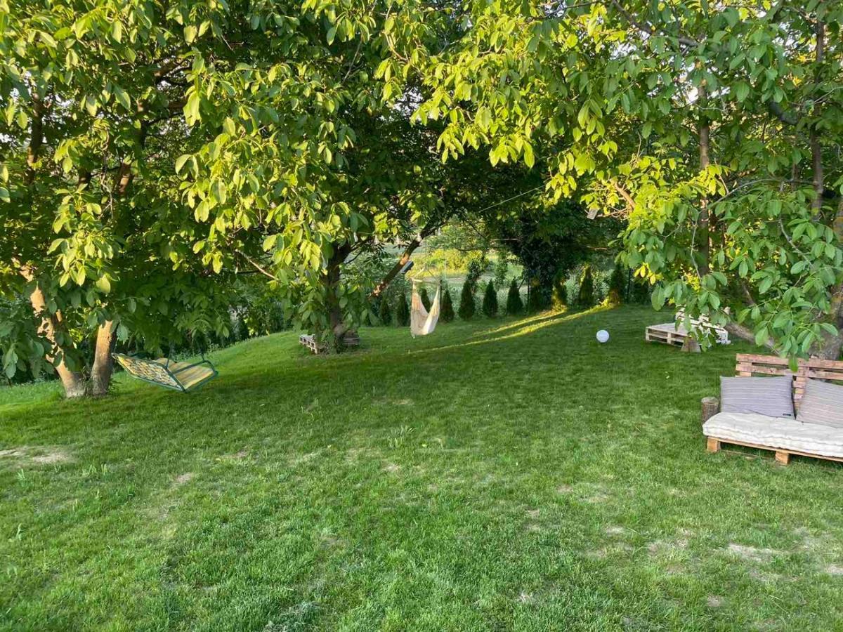 Todor Boutique House Villa Sremska Kamenica Eksteriør bilde