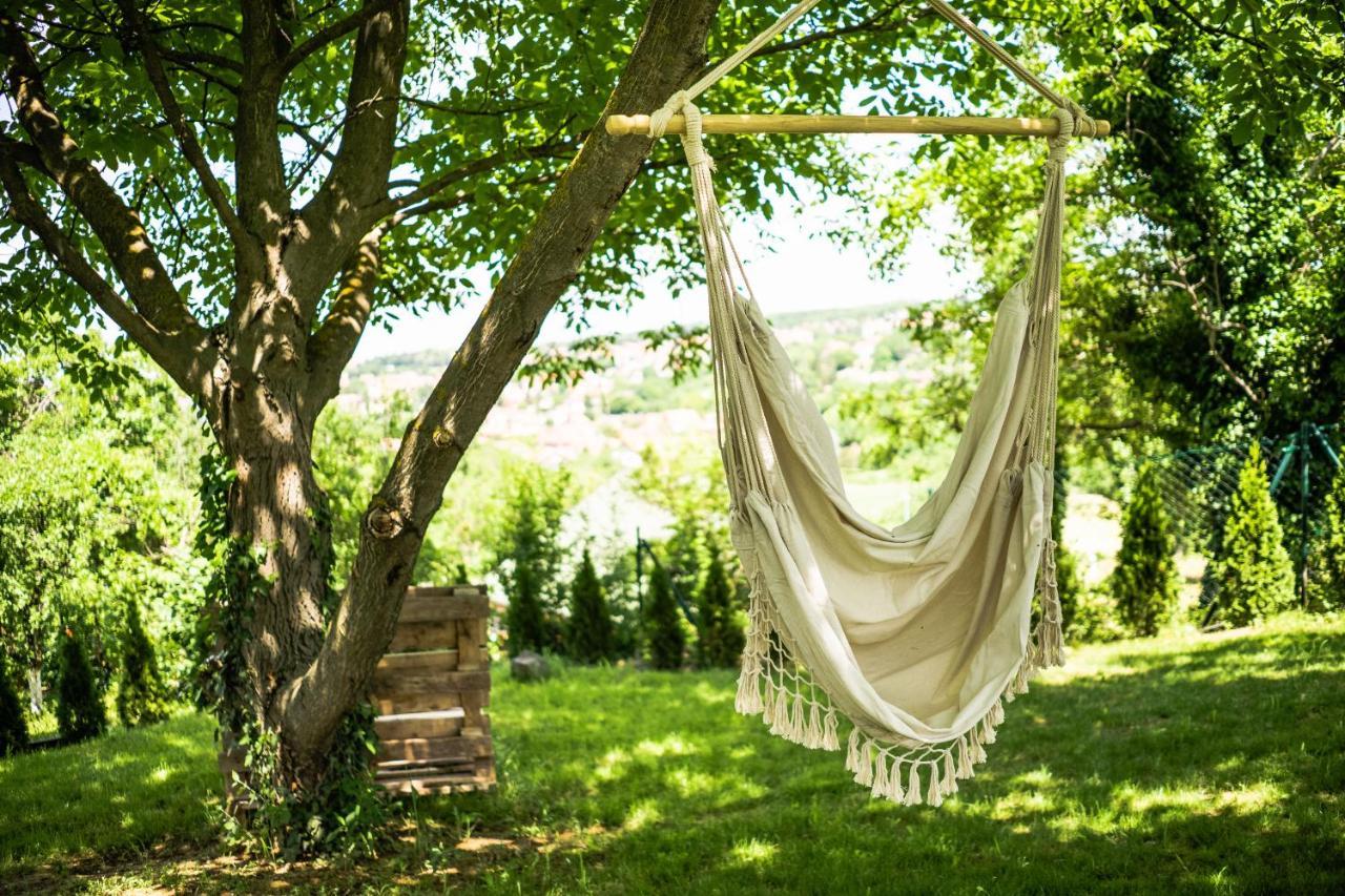 Todor Boutique House Villa Sremska Kamenica Eksteriør bilde