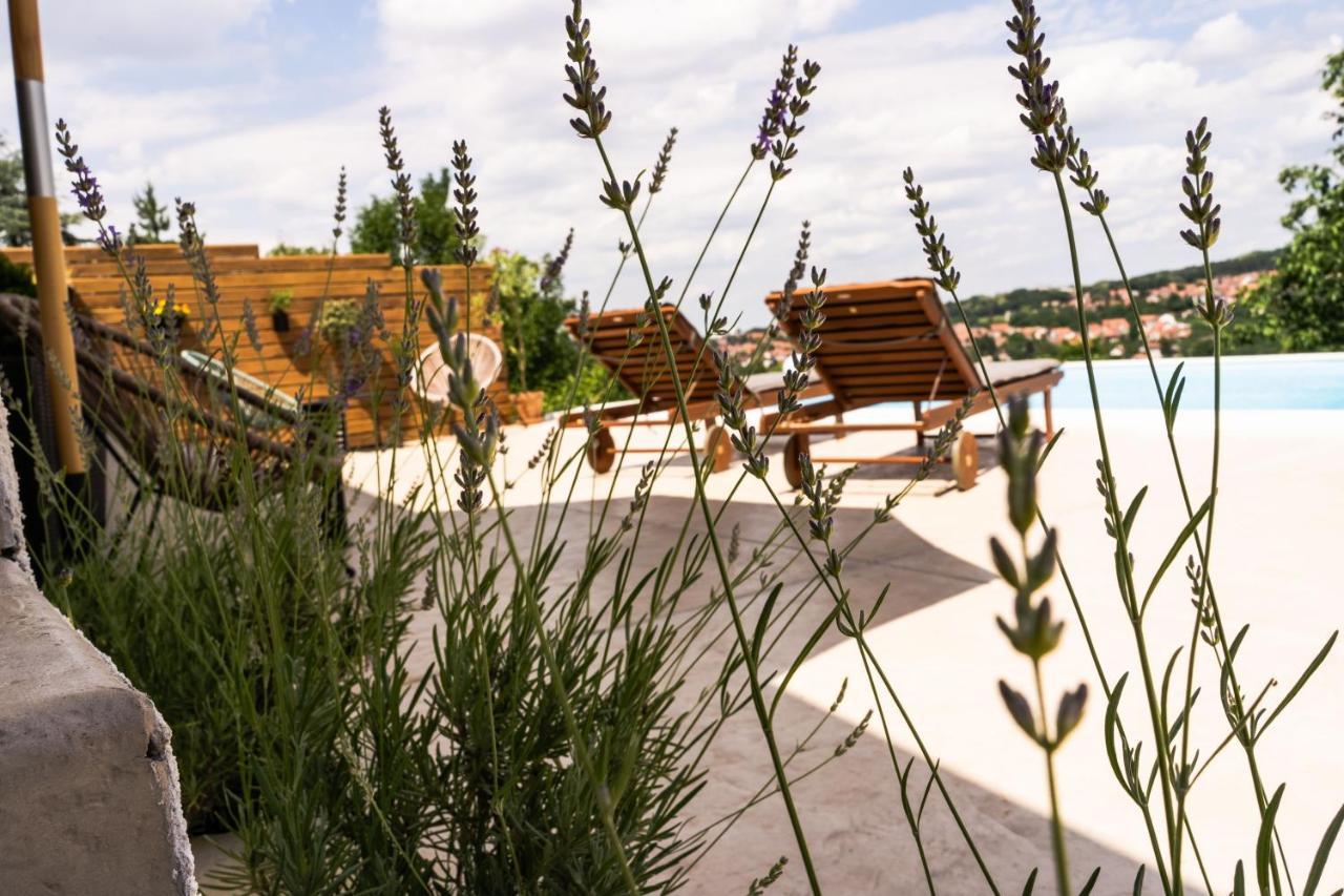 Todor Boutique House Villa Sremska Kamenica Eksteriør bilde